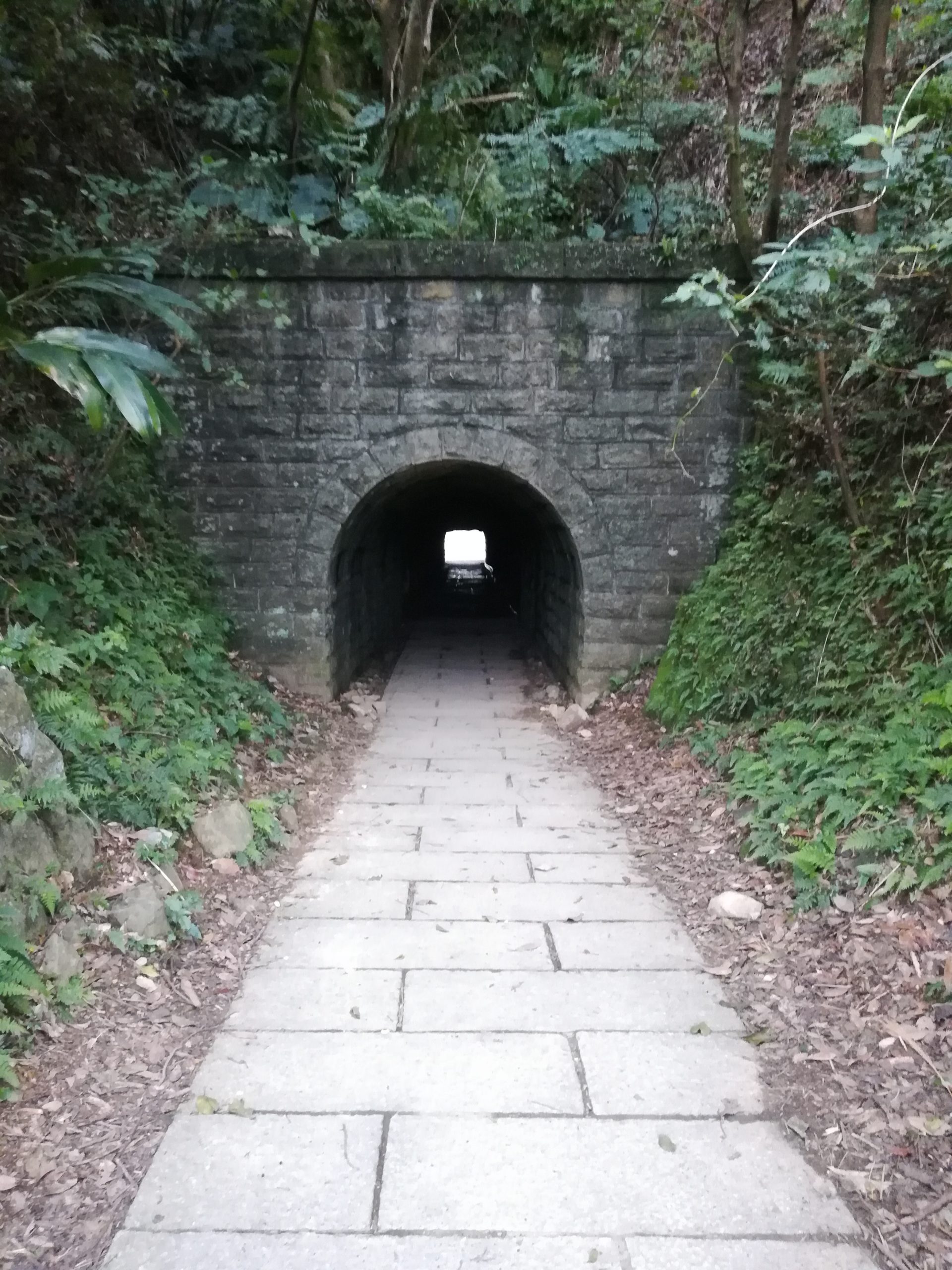 台北九份 千と千尋の神隠し 例のトンネルへの行き方 一人旅おじさんの飛行機 マイル グルメ情報